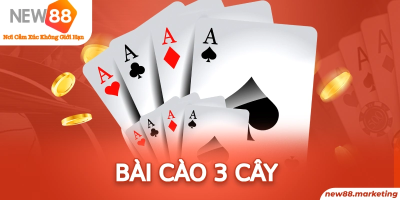 shbet50 long bảo trong baccarat là gì
