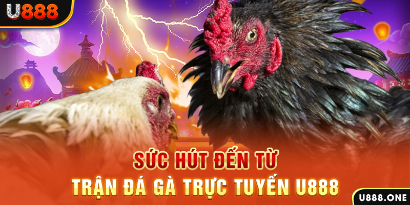 shbet50 đá gà trực tiếp c1
