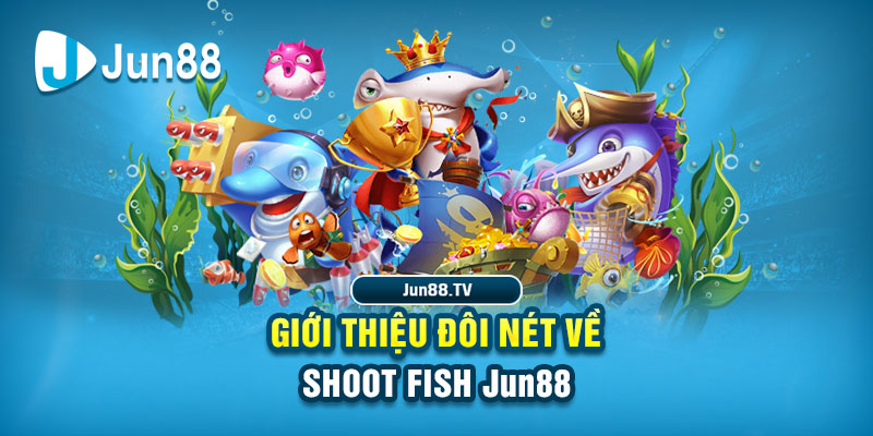 shbet50 đá gà