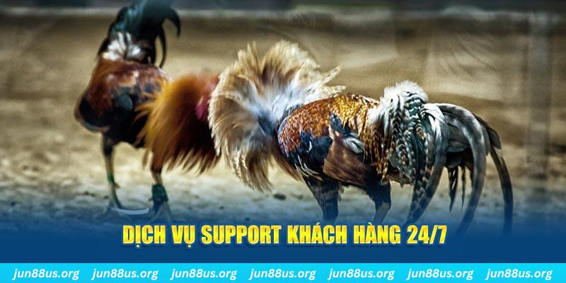 shbet50 ÁT CHỦ BÀI GIÀNH LẤY ZHUANG NIUNIU ( XEM 4 LÁ )