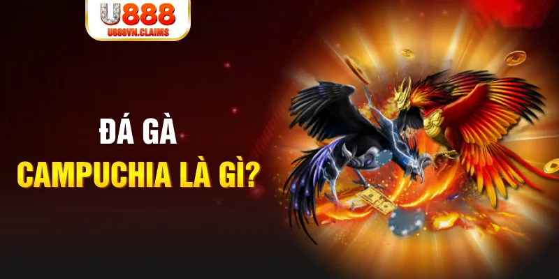 shbet50 bắn cá vàng h5