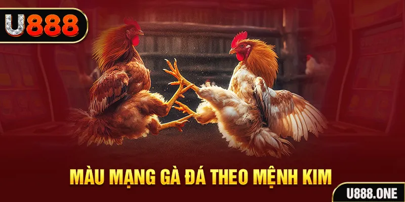 shbet50 Cỡ bảy