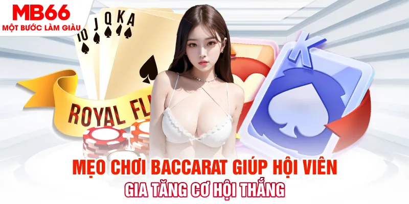 shbet50 Cuộc gọi đã bị ngắt