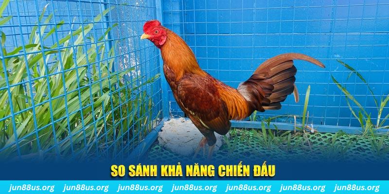 shbet50 CQ9 Điện Tử