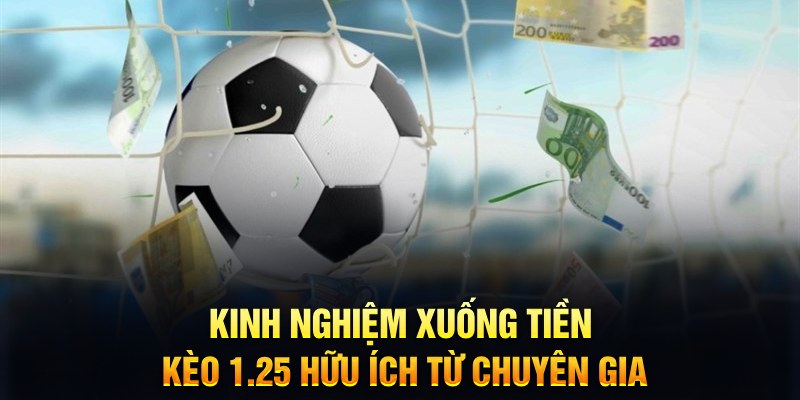 shbet50 TCG Xổ Số