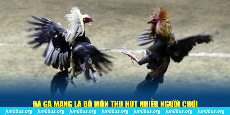 shbet50 bắn cá au88