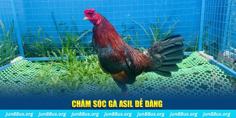 shbet50 game bài là gì