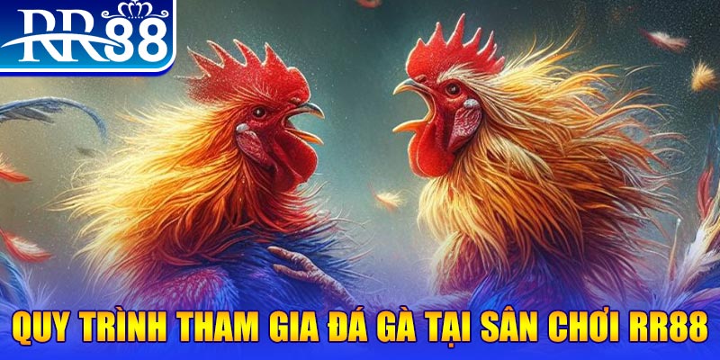 shbet50 đá gà cam 67
