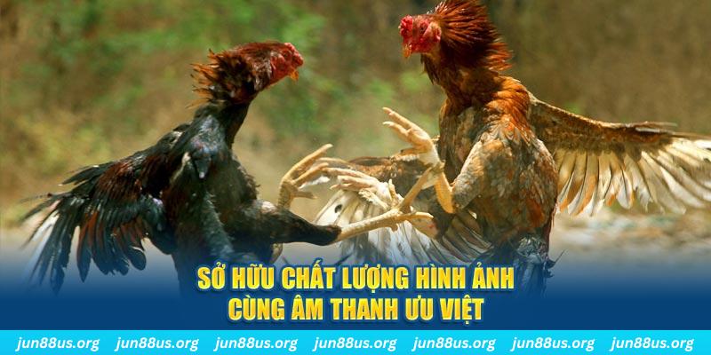 shbet50 PP Điện Tử