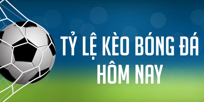 shbet50 gà chọi c1 mới nhất