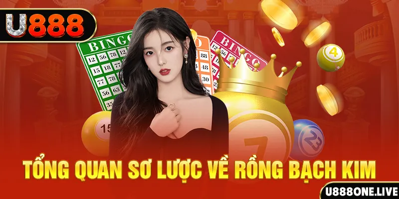 shbet50 hũ 8 bit nổ như thế nào