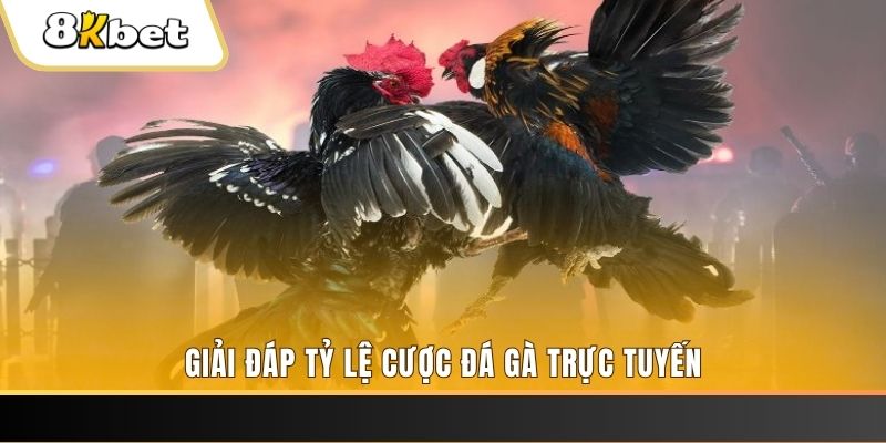 shbet50 xổ số đài miền trung