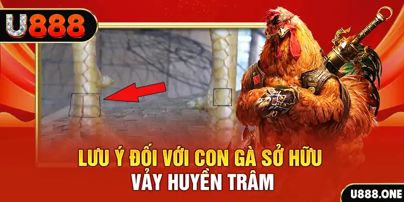 shbet50 kết quả xổ số miền nam hôm nay