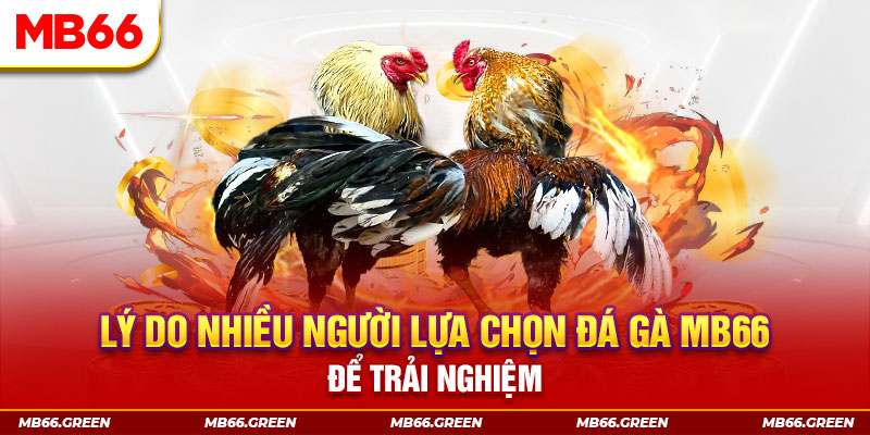 shbet50 xổ số miền bắc thứ bảy hàng tuần