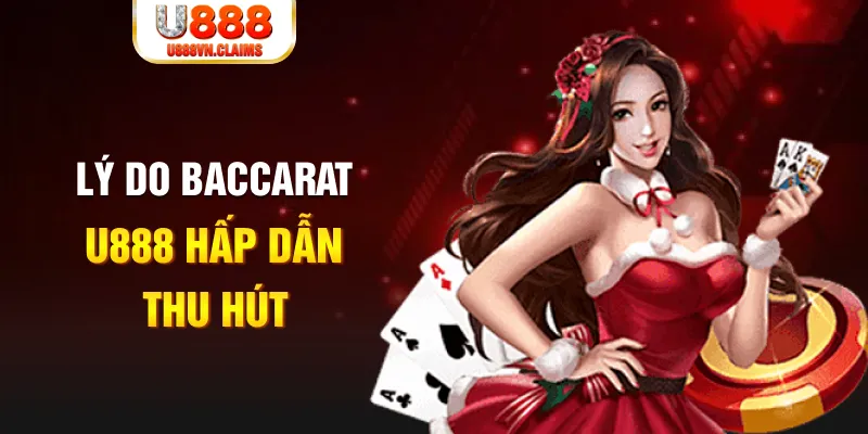 shbet50 what is a casino loyalty program