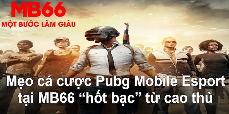 shbet50 VA Bắn cá