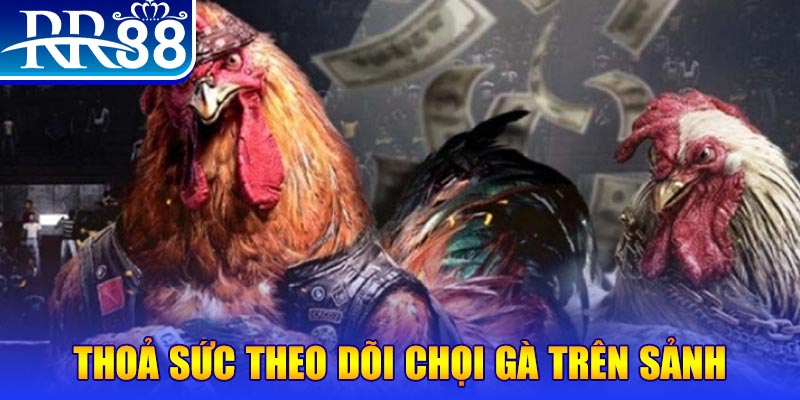shbet50 trực tiếp đá gà c1