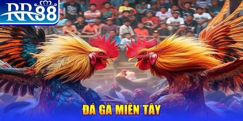 shbet50 no hu doi thuong ai