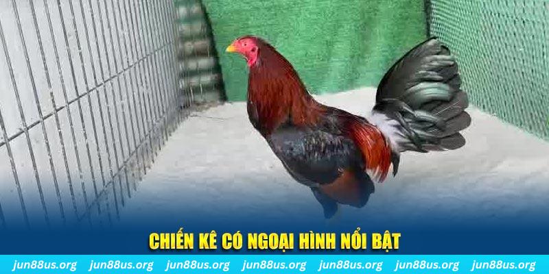 shbet50 game nổ hũ là gì