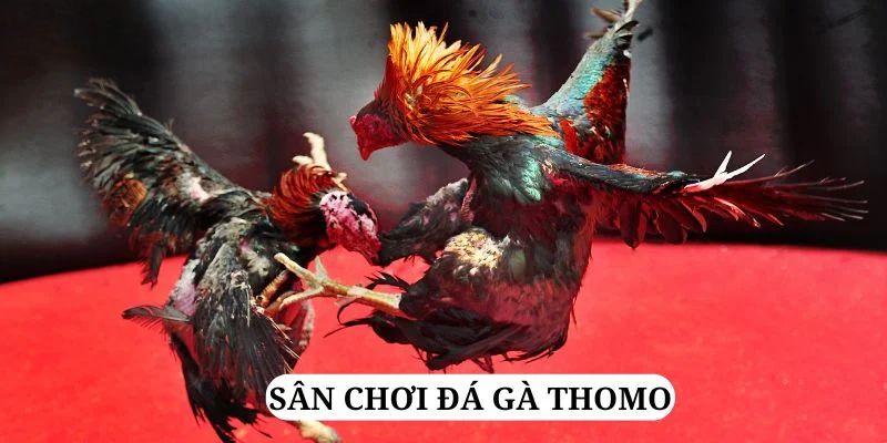 shbet50 trực tiếp xổ số miền bắc